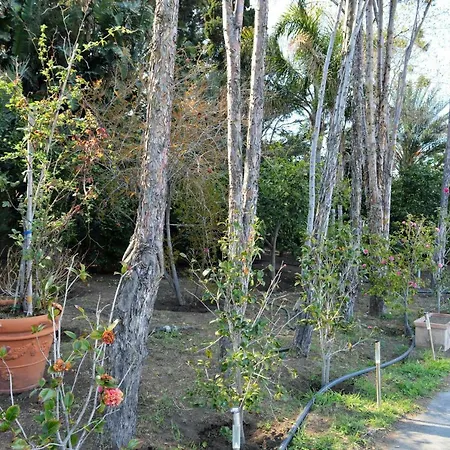 Il Giardino Segreto Gasthuis